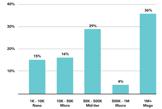 How Many Influencers Are on Tiktok?